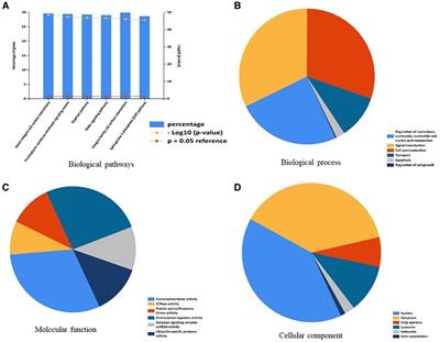 Integrative analysis of microRNA-320a-related genes in osteoarthritis cartilage